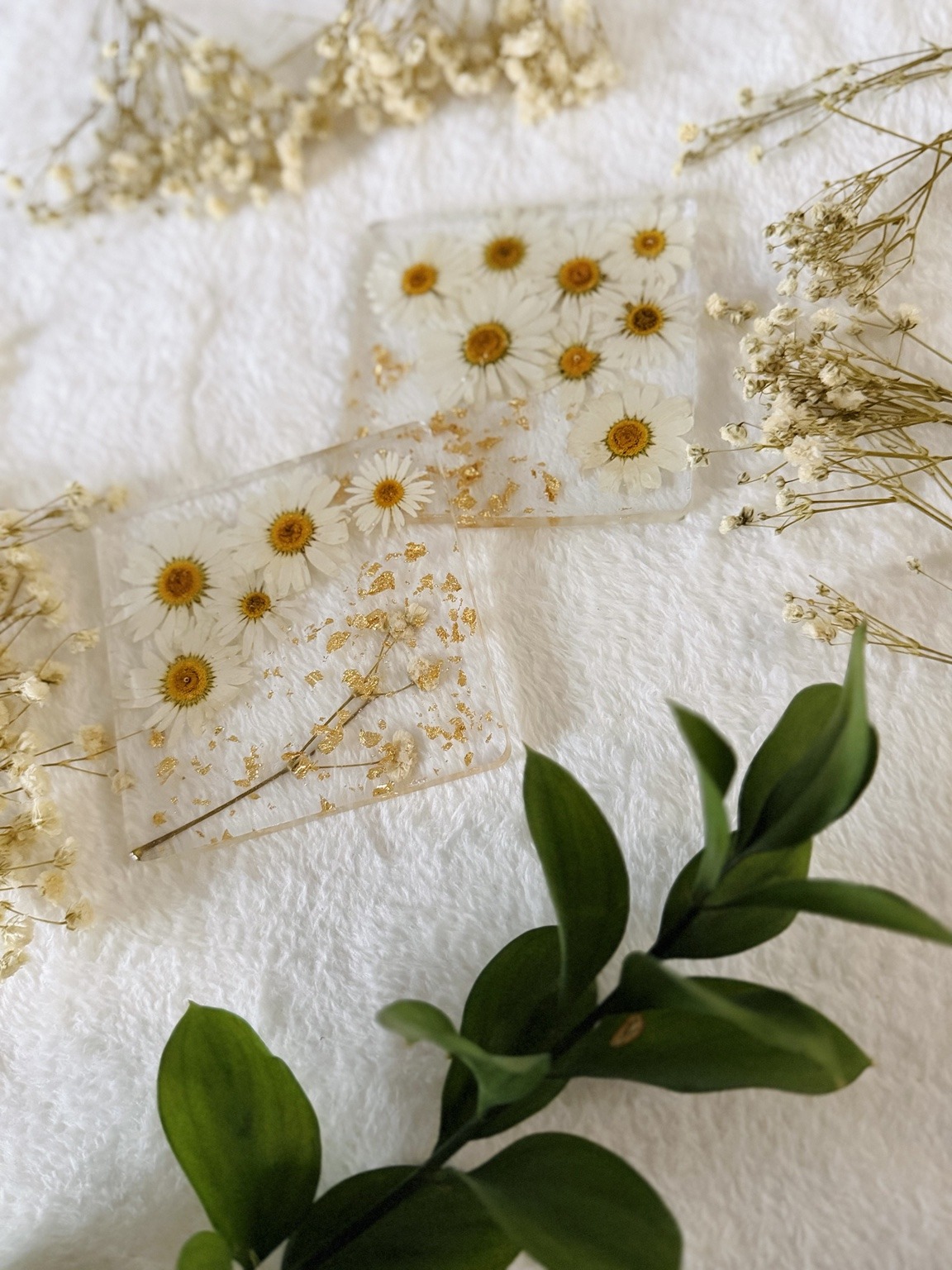 Dried flower coaster set